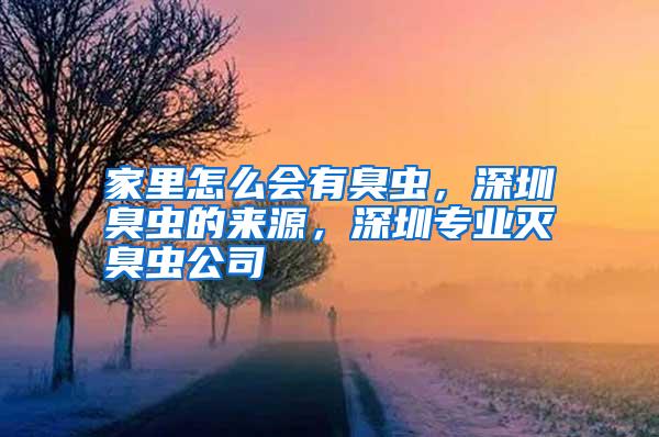 家里怎么會(huì)有臭蟲，深圳臭蟲的來(lái)源，深圳專業(yè)滅臭蟲公司