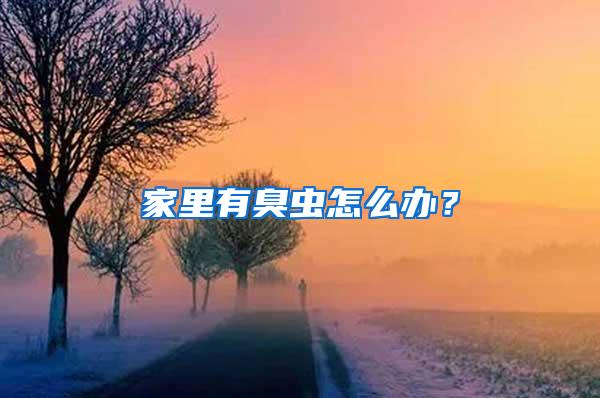 家里有臭蟲怎么辦?