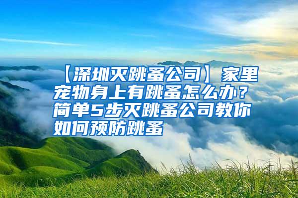 【深圳滅跳蚤公司】家里寵物身上有跳蚤怎么辦？簡單5步滅跳蚤公司教你如何預防跳蚤