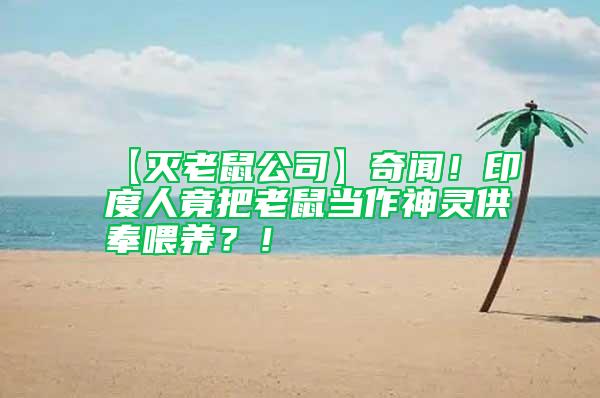 【滅老鼠公司】奇聞！印度人竟把老鼠當(dāng)作神靈供奉喂養(yǎng)？！