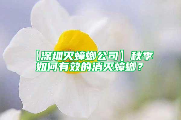 【深圳滅蟑螂公司】秋季 如何有效的消滅蟑螂?