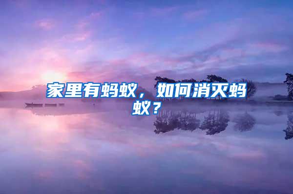 家里有螞蟻,如何消滅螞蟻?