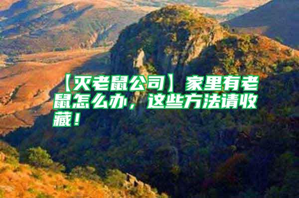【滅老鼠公司】家里有老鼠怎么辦，這些方法請(qǐng)收藏！