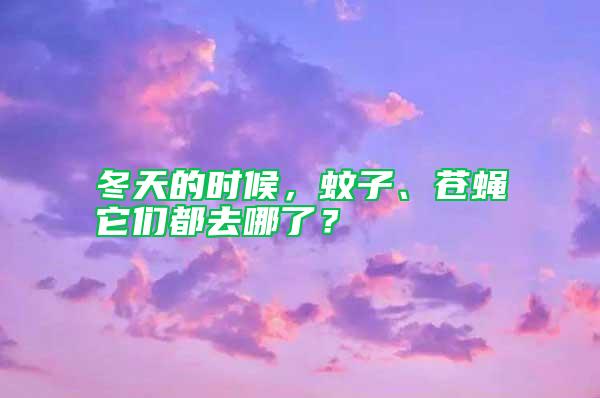 冬天的時候，蚊子、蒼蠅它們都去哪了？