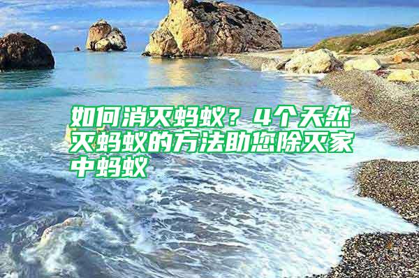 如何消滅螞蟻?4個天然滅螞蟻的方法助您除滅家中螞蟻