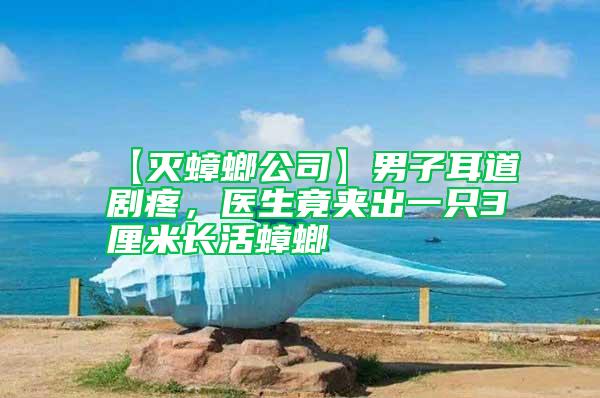 【滅蟑螂公司】男子耳道劇疼，醫(yī)生竟夾出一只3厘米長活蟑螂