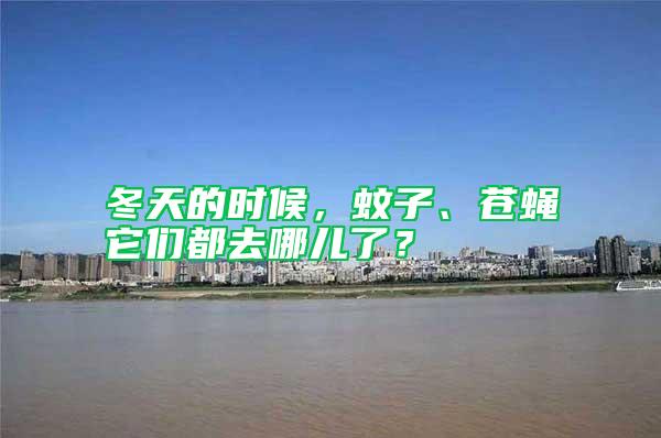 冬天的時(shí)候，蚊子、蒼蠅它們都去哪兒了？