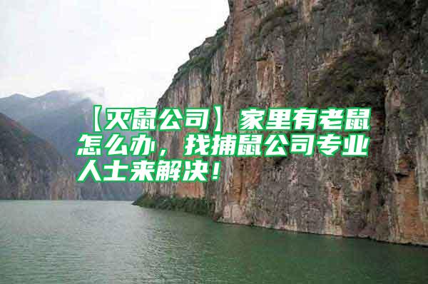 【滅鼠公司】家里有老鼠怎么辦，找捕鼠公司專業人士來解決！