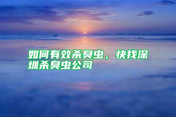 如何有效殺臭蟲，快找深圳殺臭蟲公司