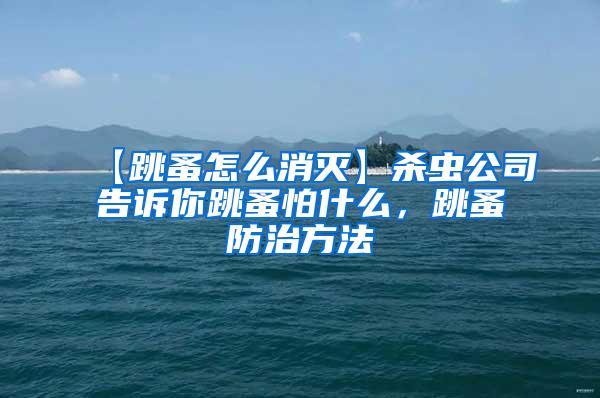 【跳蚤怎么消滅】殺蟲公司告訴你跳蚤怕什么，跳蚤防治方法
