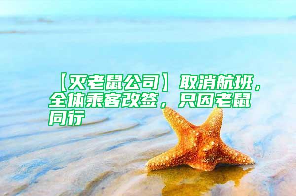 【滅老鼠公司】取消航班，全體乘客改簽，只因老鼠同行