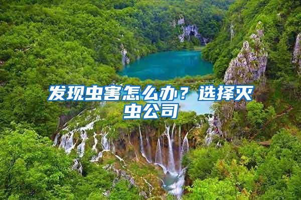 發現蟲害怎么辦？選擇滅蟲公司