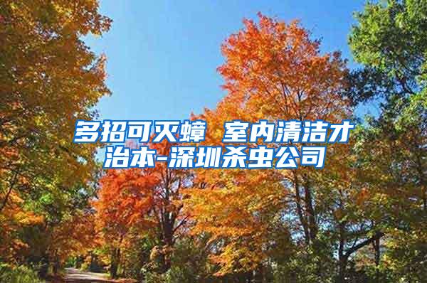 多招可滅蟑 室內清潔才治本-深圳殺蟲公司