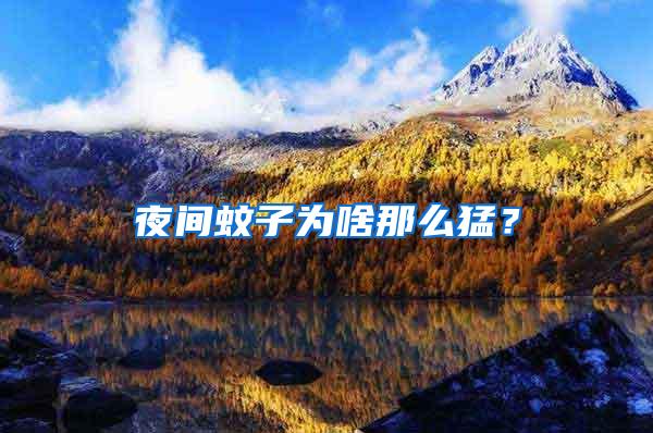 夜間蚊子為啥那么猛?