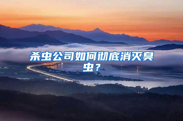 殺蟲公司如何徹底消滅臭蟲?