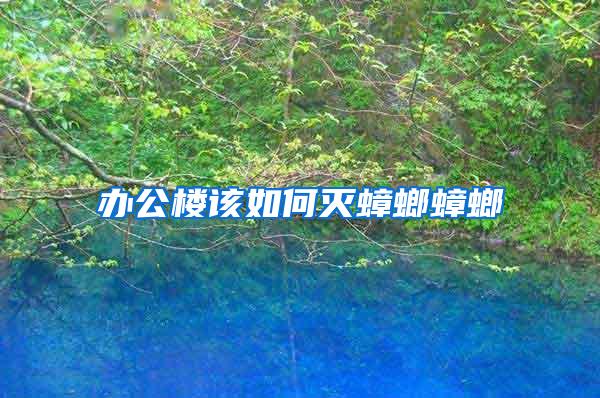 辦公樓該如何滅蟑螂蟑螂