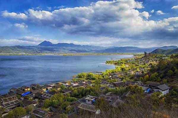 寨卡病毒蔓延全球或成真，家里如何做到?jīng)]蚊子