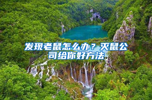 發(fā)現(xiàn)老鼠怎么辦？滅鼠公司給你好方法