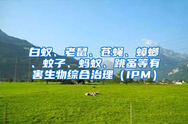 白蟻、老鼠、蒼蠅、蟑螂、蚊子、螞蟻、跳蚤等有害生物綜合治理（IPM）