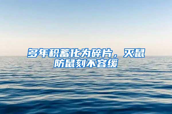 多年積蓄化為碎片，滅鼠防鼠刻不容緩