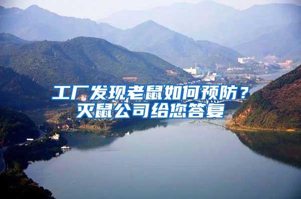 工廠發現老鼠如何預防？滅鼠公司給您答復