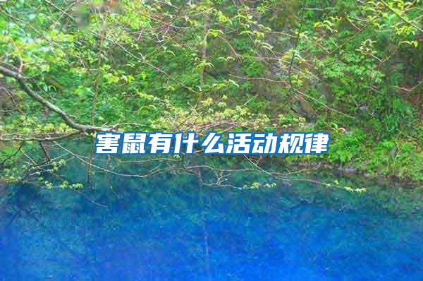 害鼠有什么活動規律