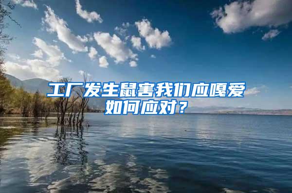 工廠發生鼠害我們應嘎愛如何應對?