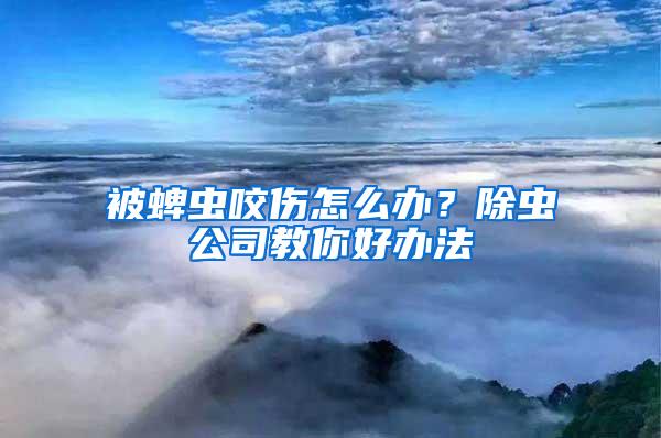 被蜱蟲咬傷怎么辦？除蟲公司教你好辦法